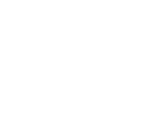 LOGO-ARPI-2024-BLC-300×274
