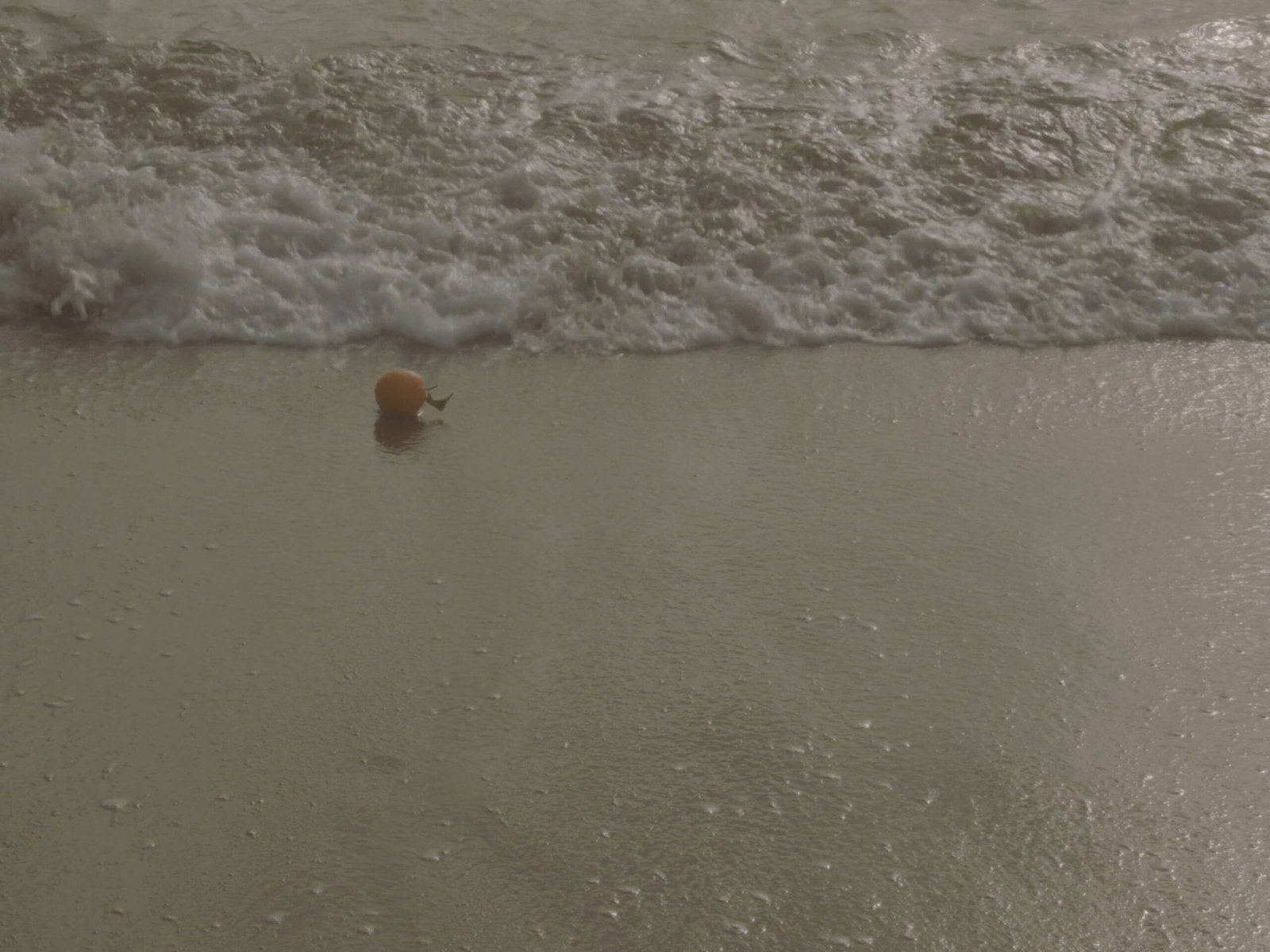 MYSTRA SCENT X Flor del Mar