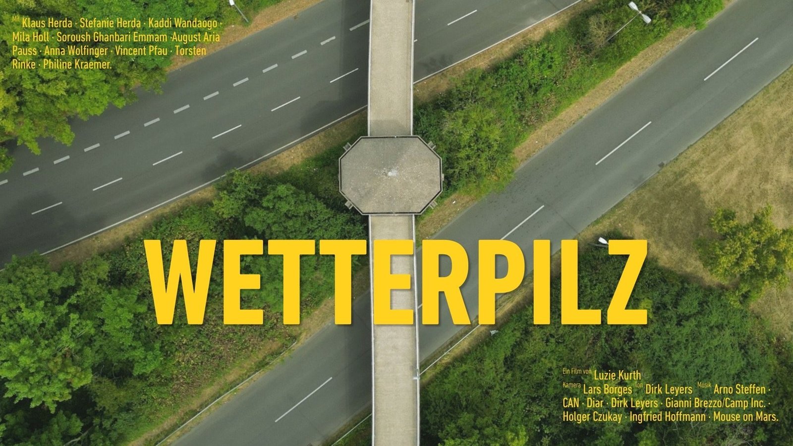 Wetterpilz