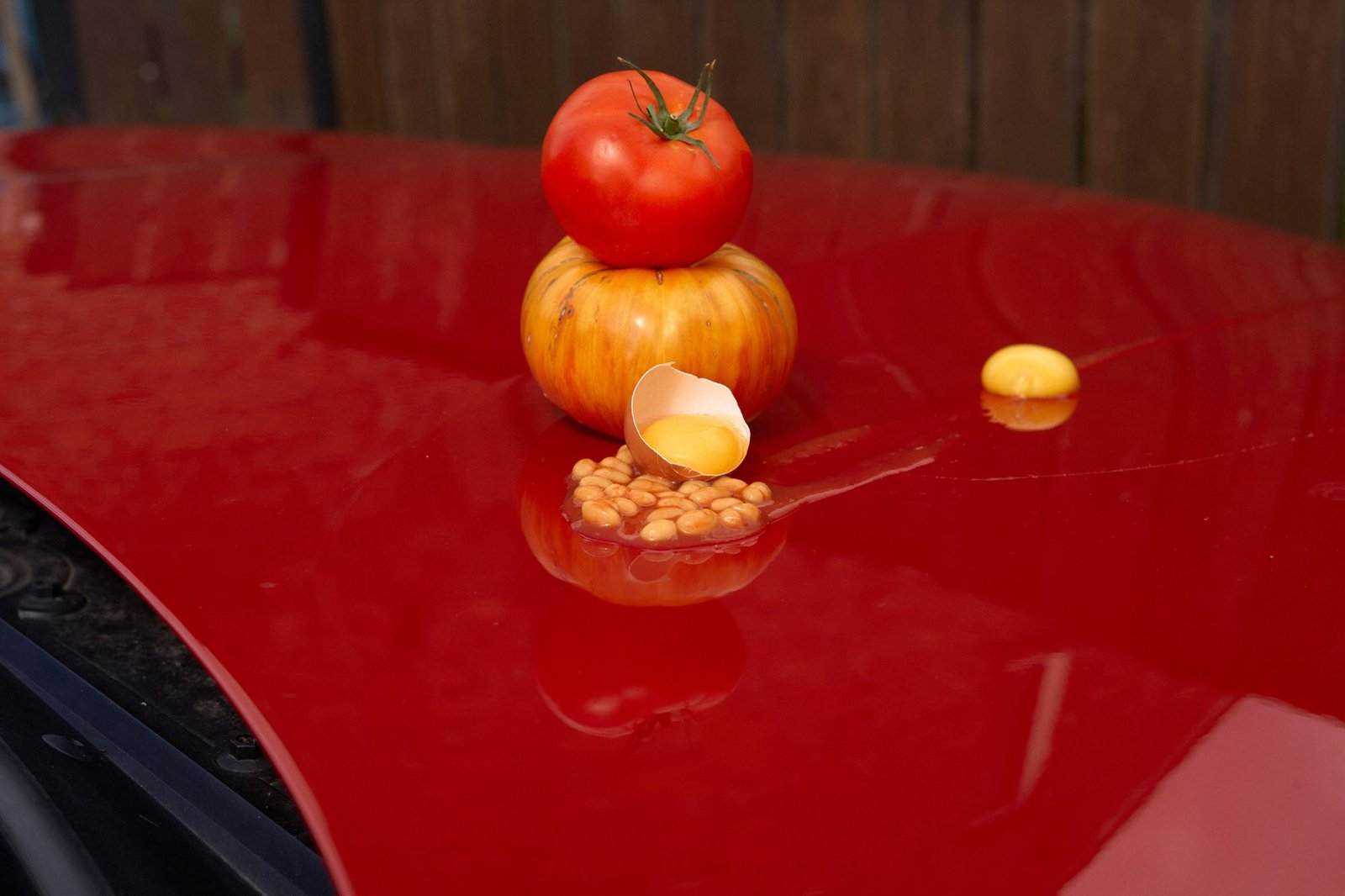 We Share The Meal